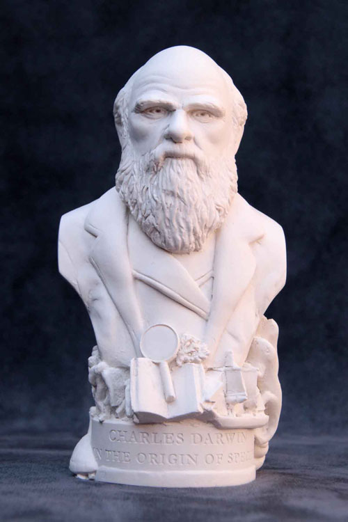 Purchase Famous Faces bust of Darwin
