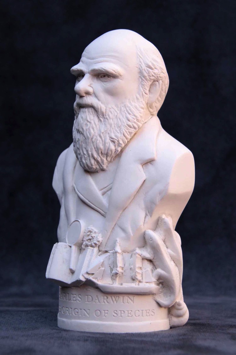 Famous Faces bust of Charles Darwin.