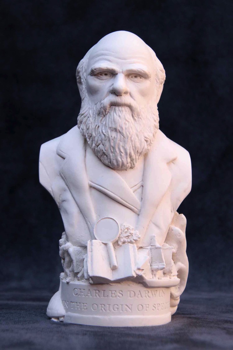 Famous Faces bust of Charles Darwin.